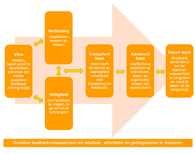 Feedback programmaontwikkeling